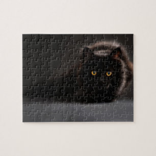 Stryka omkring den svart katten pussel