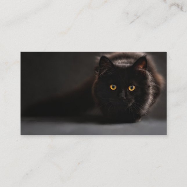 Stryka omkring den svart katten visitkort (Framsida)