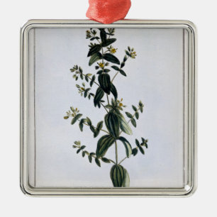 Sts John Wort, pläterar 62, från 'samlingen Prec Julgransprydnad Metall