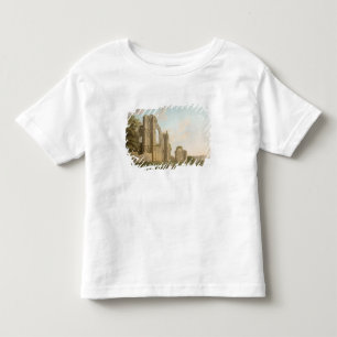 Sts Mary Abbey, York, c.1778 (olja på kanfas) Tee