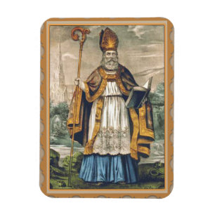 Sts Patrick biskopbil/kylskåp Magnet