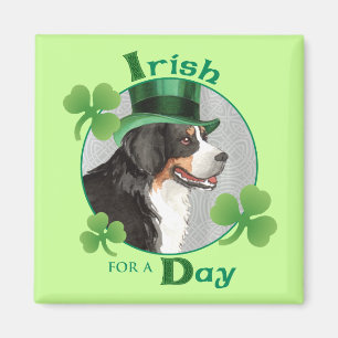 Sts Patrick dag Berner Magnet