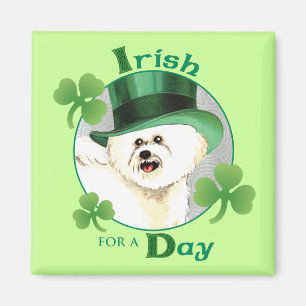 Sts Patrick dag Bichon Magnet