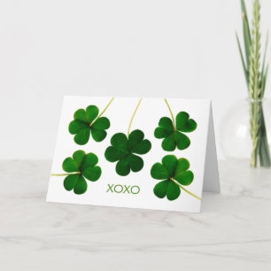 Sts Patrick dag för frun, XOXO-Shamrocks Kort