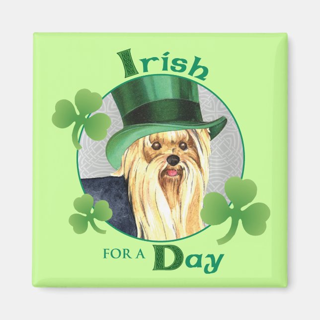 Sts Patrick dag Yorkie Magnet (Framsidan)