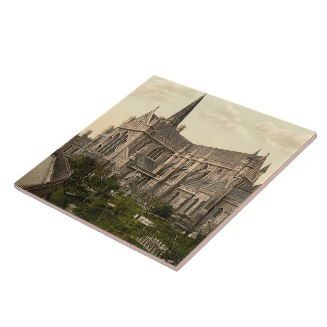 Sts Patrick domkyrka Dublin Irland Kakelplatta (Sidan)