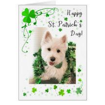 Sts Patrick västra höglands- Terrier för dag