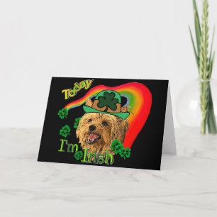 Sts Patrick Yorkshire Terrier Kort