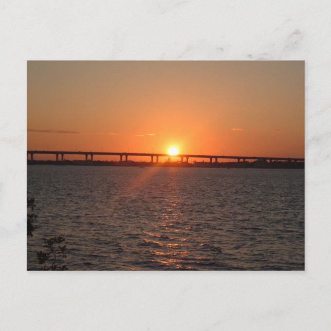 Stuart, FL Vykort (Framsida)