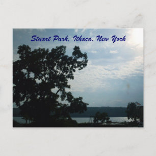 STUART PARK,ITHACA,NEW YORK-vykort Vykort