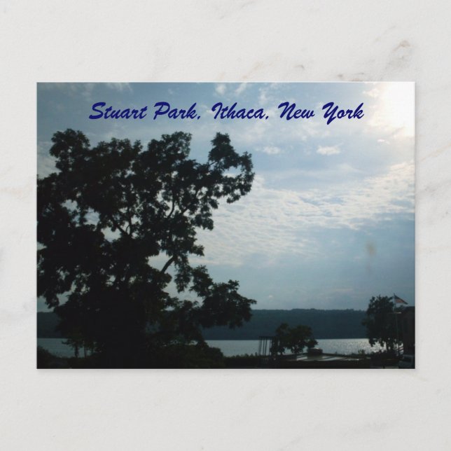 STUART PARK,ITHACA,NEW YORK-vykort Vykort (Framsida)