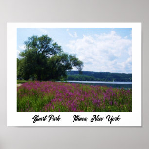 STUART PARK, ITHACA,NY YORK poster
