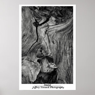 Stubbe Poster