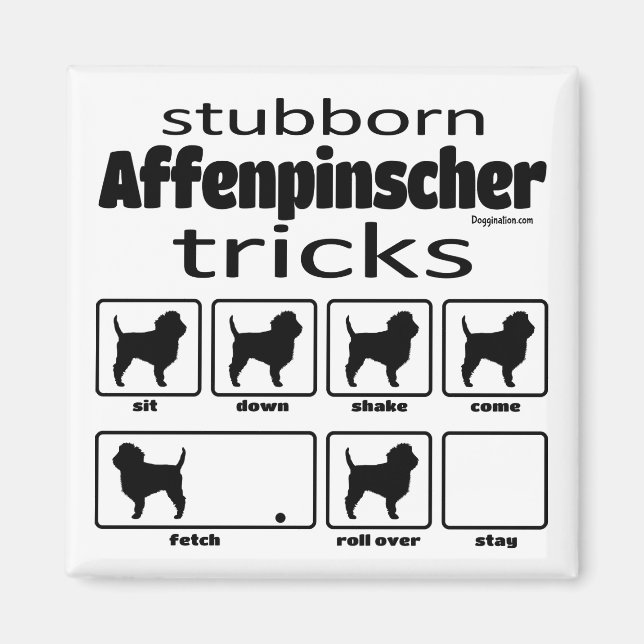 Stubborn Affenpinscher Tricks Magnet (Framsidan)
