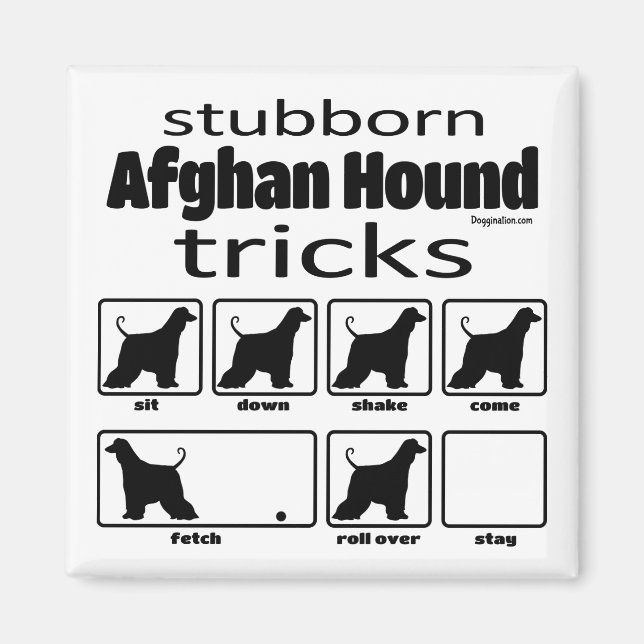 Stubborn Afghan Hound Tricks Magnet (Framsidan)