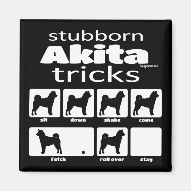 Stubborn Akita Tricks Magnet (Framsidan)