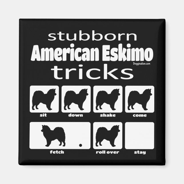 Stubborn American Eskimo Tricks Magnet (Framsidan)