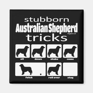 Stubborn Australian shepherd Tricks Magnet