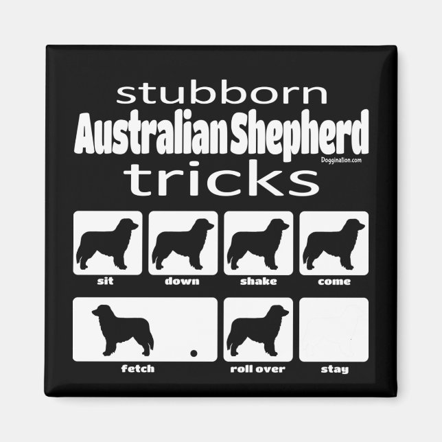 Stubborn Australian shepherd Tricks Magnet (Framsidan)
