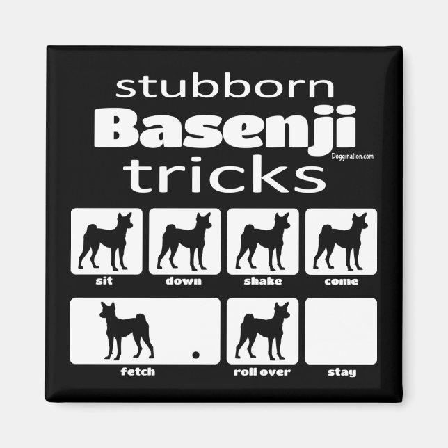 Stubborn Basenji Tricks Magnet (Framsidan)