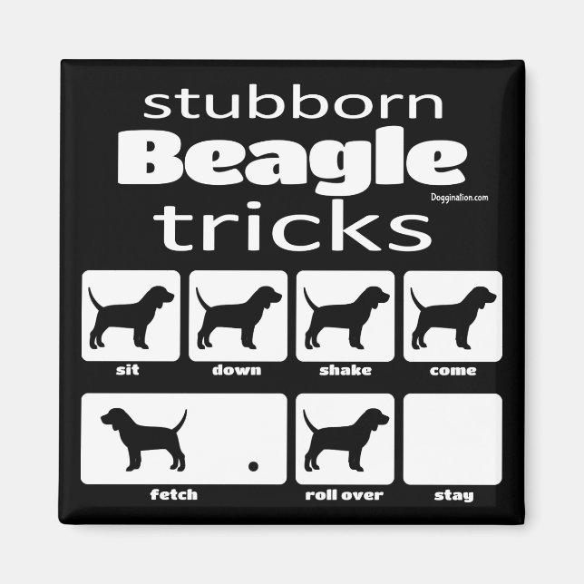 Stubborn Beagle Tricks Magnet (Framsidan)