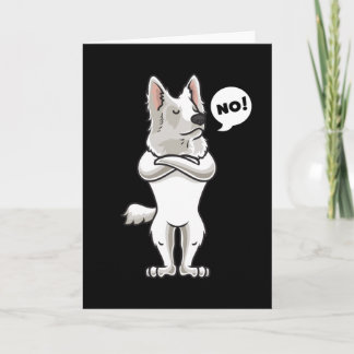 Stubborn Berger Blanc Suisse Kort