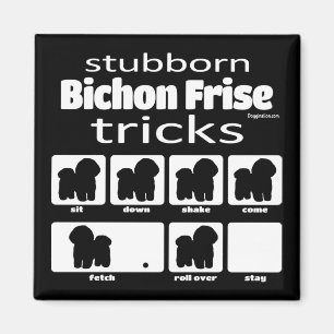 Stubborn Bichon Frise Tricks Magnet