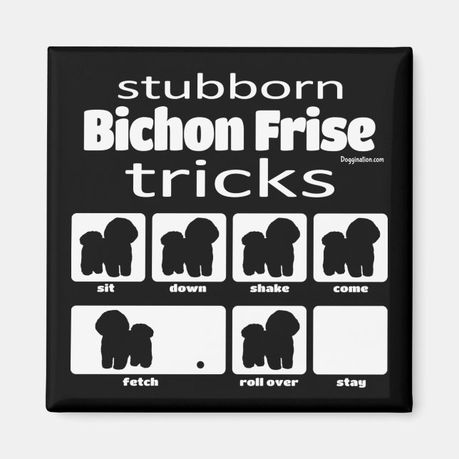 Stubborn Bichon Frise Tricks Magnet (Framsidan)