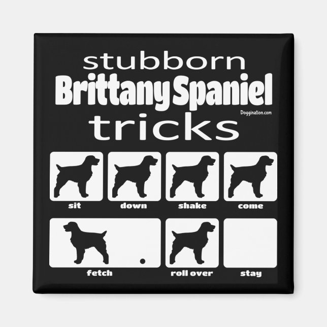 Stubborn Brittany Spain Tricks Magnet (Framsidan)