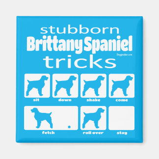 Stubborn Brittany Spain Tricks Magnet
