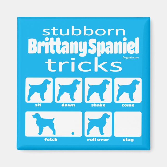 Stubborn Brittany Spain Tricks Magnet (Framsidan)