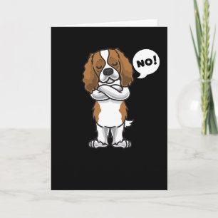 Stubborn Cavalier Kung Charles Spain Hund Kort