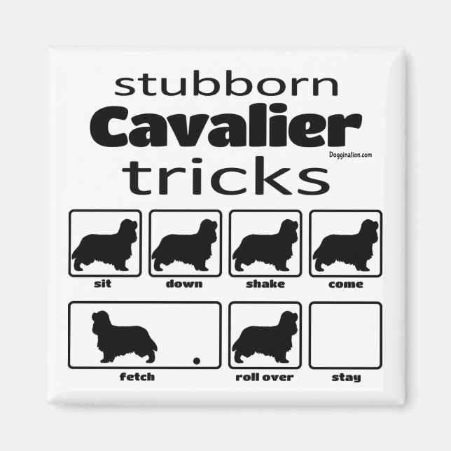 Stubborn Cavalier Tricks Magnet (Framsidan)