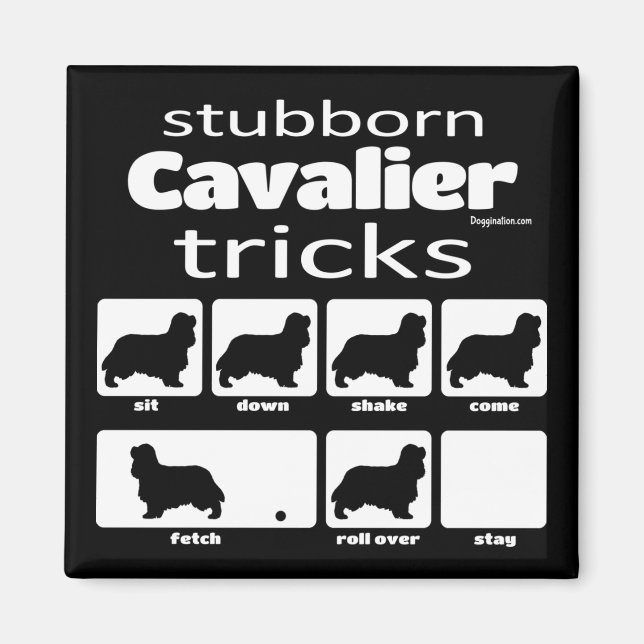 Stubborn Cavalier Tricks Magnet (Framsidan)