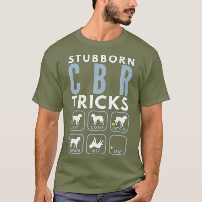 Stubborn Chesapeake Bay Retriever Tricks - Hund T Shirt (Framsida)