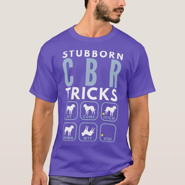 Stubborn Chesapeake Bay Retriever Tricks - Hund T Shirt (Framsida)