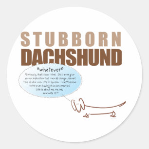 Stubborn Dachshund..säger "SPELAR INGEN ROLL!!!!!" Runt Klistermärke