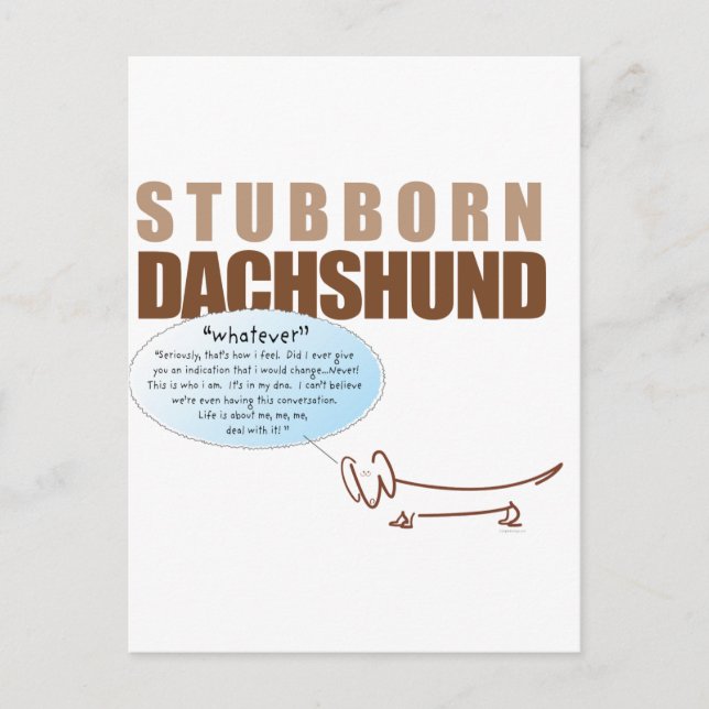 Stubborn Dachshund..SPELAR INGEN ROLL! Vykort (Framsida)