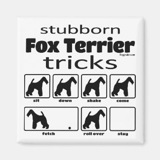 Stubborn Fox Terrier Tricks Magnet