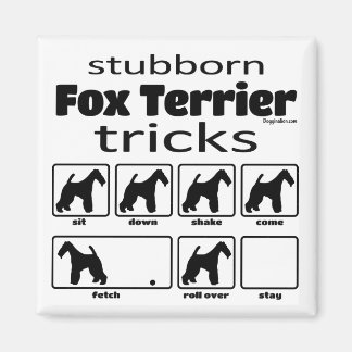 Stubborn Fox Terrier Tricks Magnet