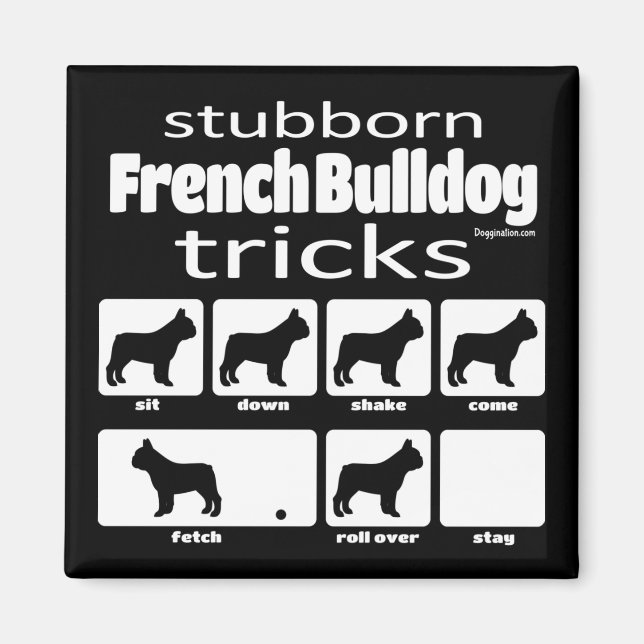 Stubborn Fransk Bulldog Tricks Magnet (Framsidan)