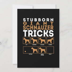 Stubborn Giant Schnauzer Hund Tricks Graphic Meddelande