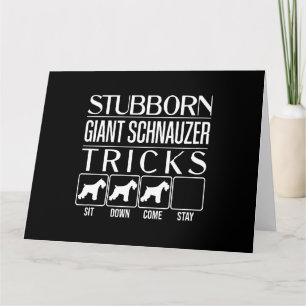 Stubborn Giant Schnauzer Tricks, Funny Giant Schna Kort