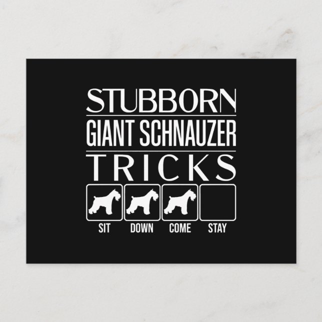 Stubborn Giant Schnauzer Tricks, Funny Giant Schna Vykort (Framsida)