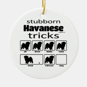 Stubborn Havanese Tricks Julgransprydnad Keramik
