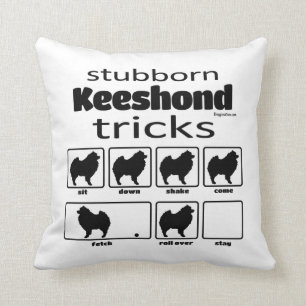Stubborn Keeshond Tricks Kudde