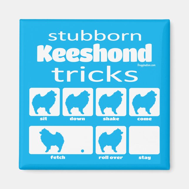 Stubborn Keeshond Tricks Magnet (Framsidan)