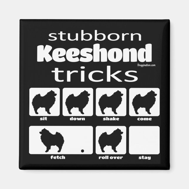 Stubborn Keeshond Tricks Magnet (Framsidan)
