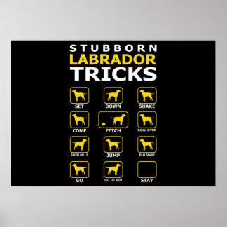 Stubborn Labrador Hund Tricks Funny Poster