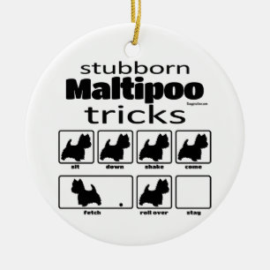 Stubborn Maltipoo Tricks Julgransprydnad Keramik